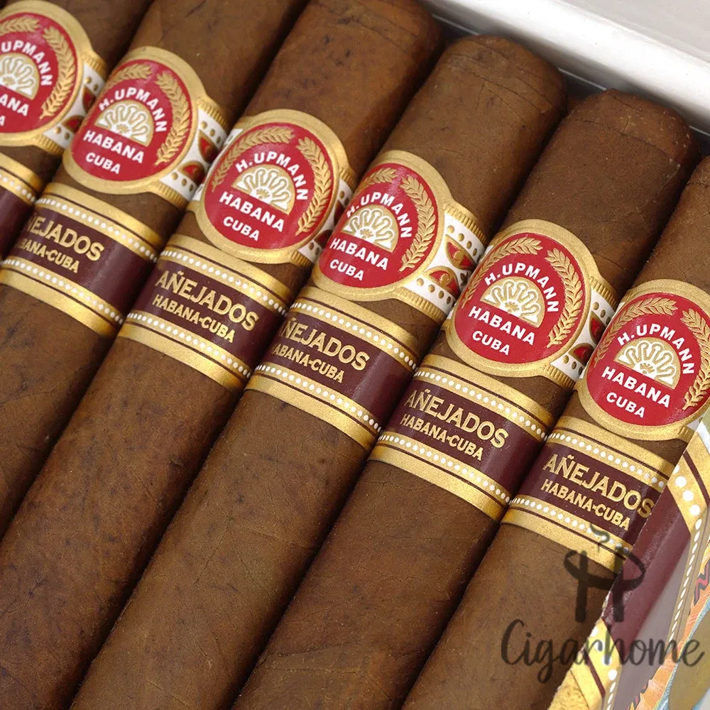  H. Upmann Robusto Anejados 2017 羅伯圖陳年2017_4