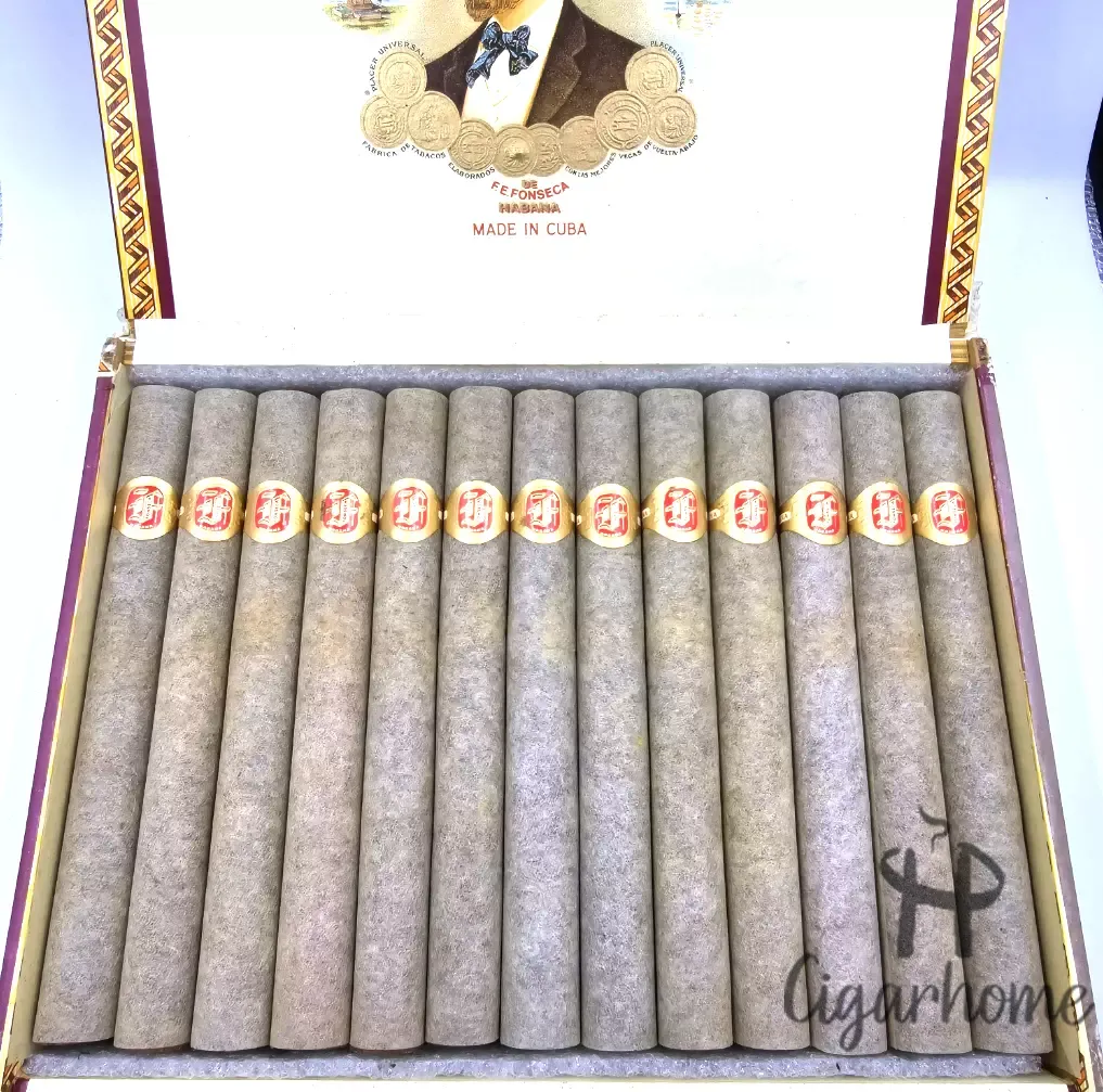 豐塞卡1號 Fonseca Fonseca No 1 1993年_3