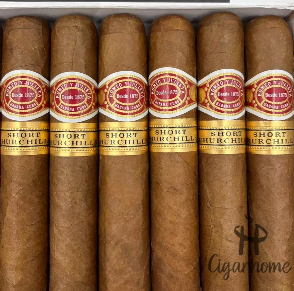 ROMEO Y JULIETA  SHORT CHURCHILLS 短丘吉爾_3