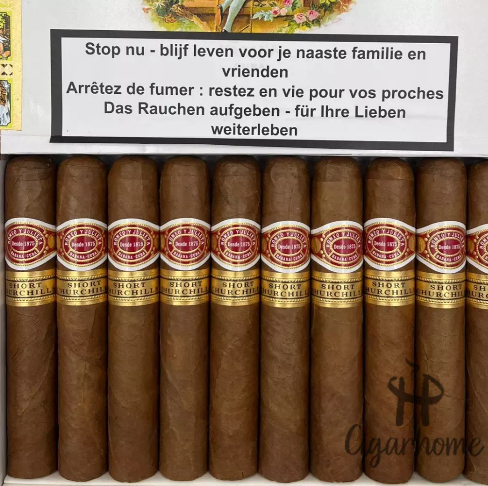 ROMEO Y JULIETA  SHORT CHURCHILLS 短丘吉爾