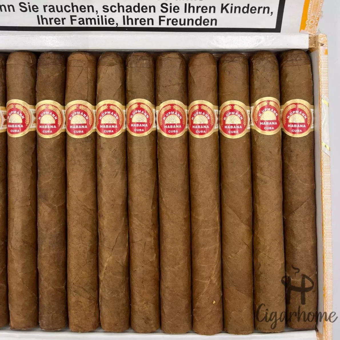 H. UPMANN MAJESTIC 雄偉_4