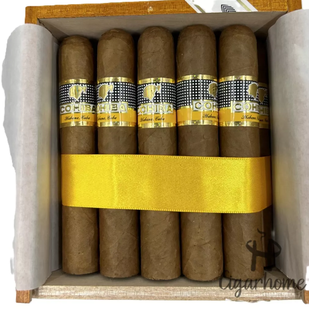 COHIBA  ROBUSTOS 羅伯圖 2022年