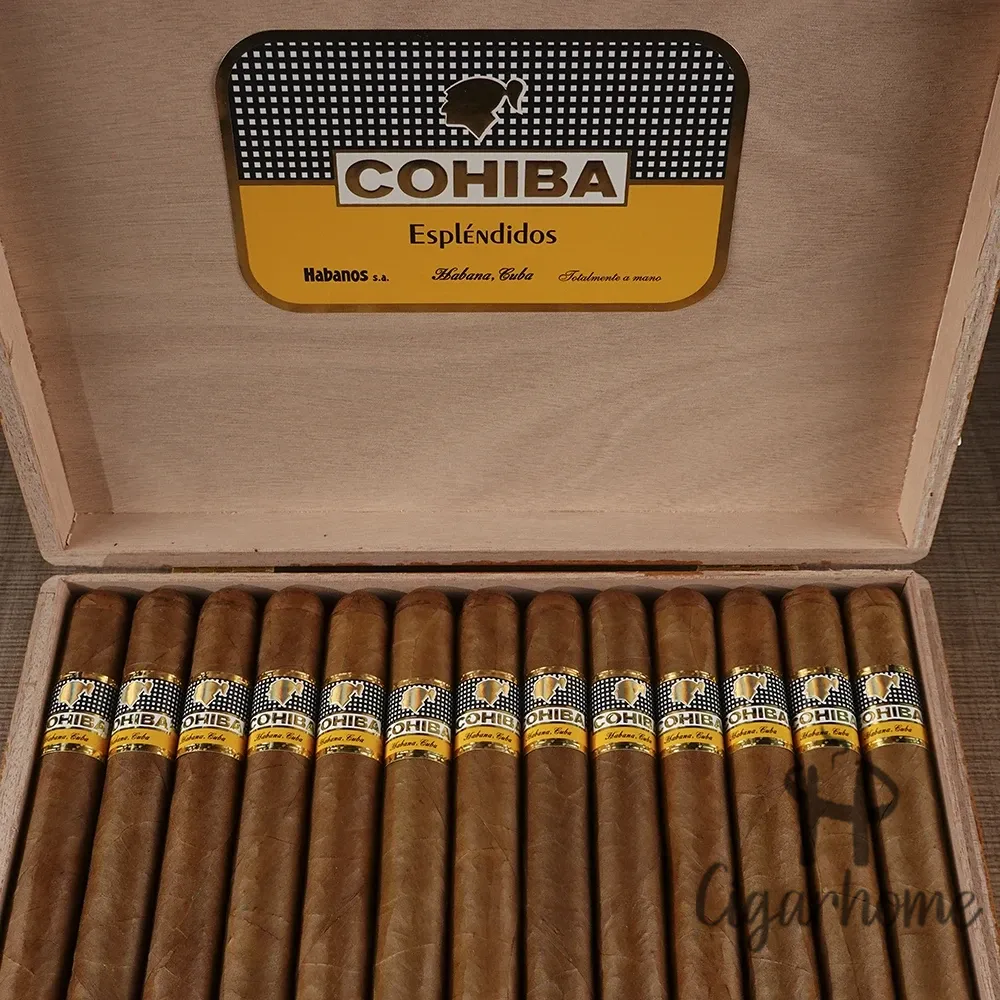 COHIBA ESPLENDIDOS 導師