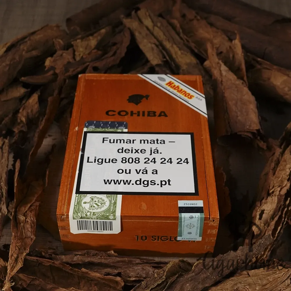 COHIBA SIGLO VI 世紀六號 十隻裝