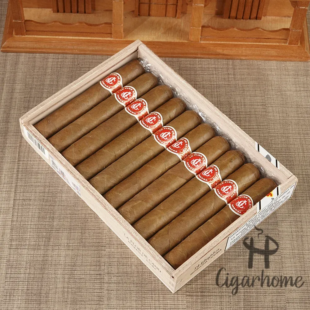 拉弗洛爾．德卡諾   卡諾之花 _2