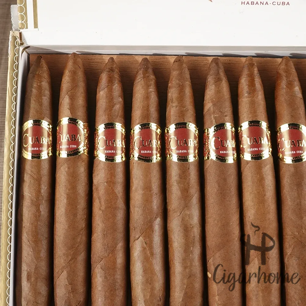 Cuaba Exclusivos  獨家_3