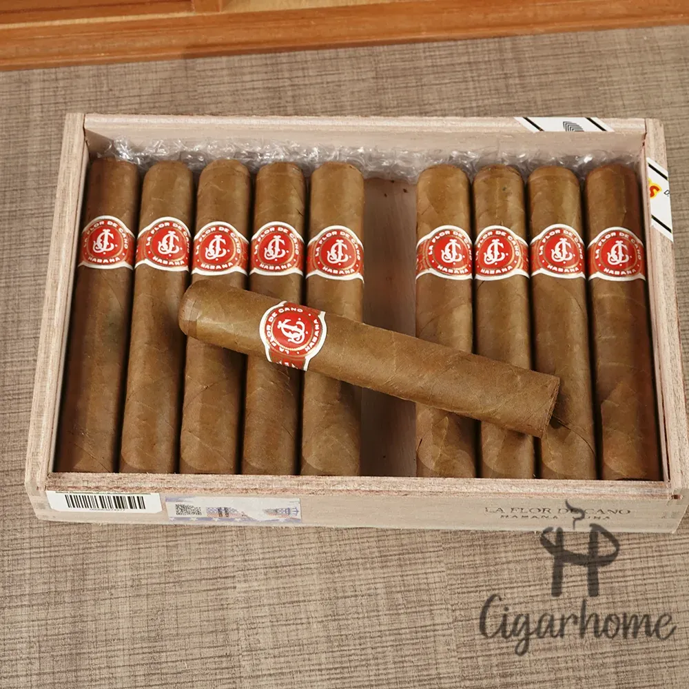 拉弗洛爾．德卡諾   卡諾之花 