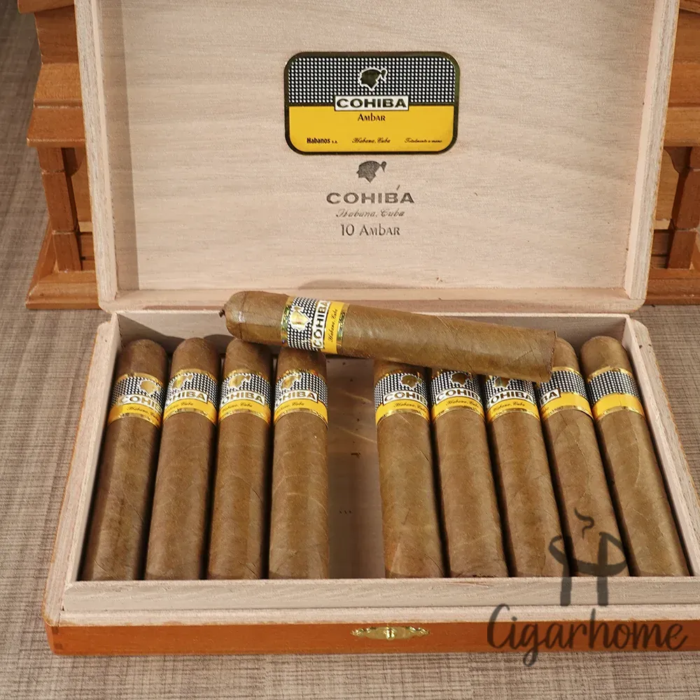 Cohiba Ambar 安巴爾_4