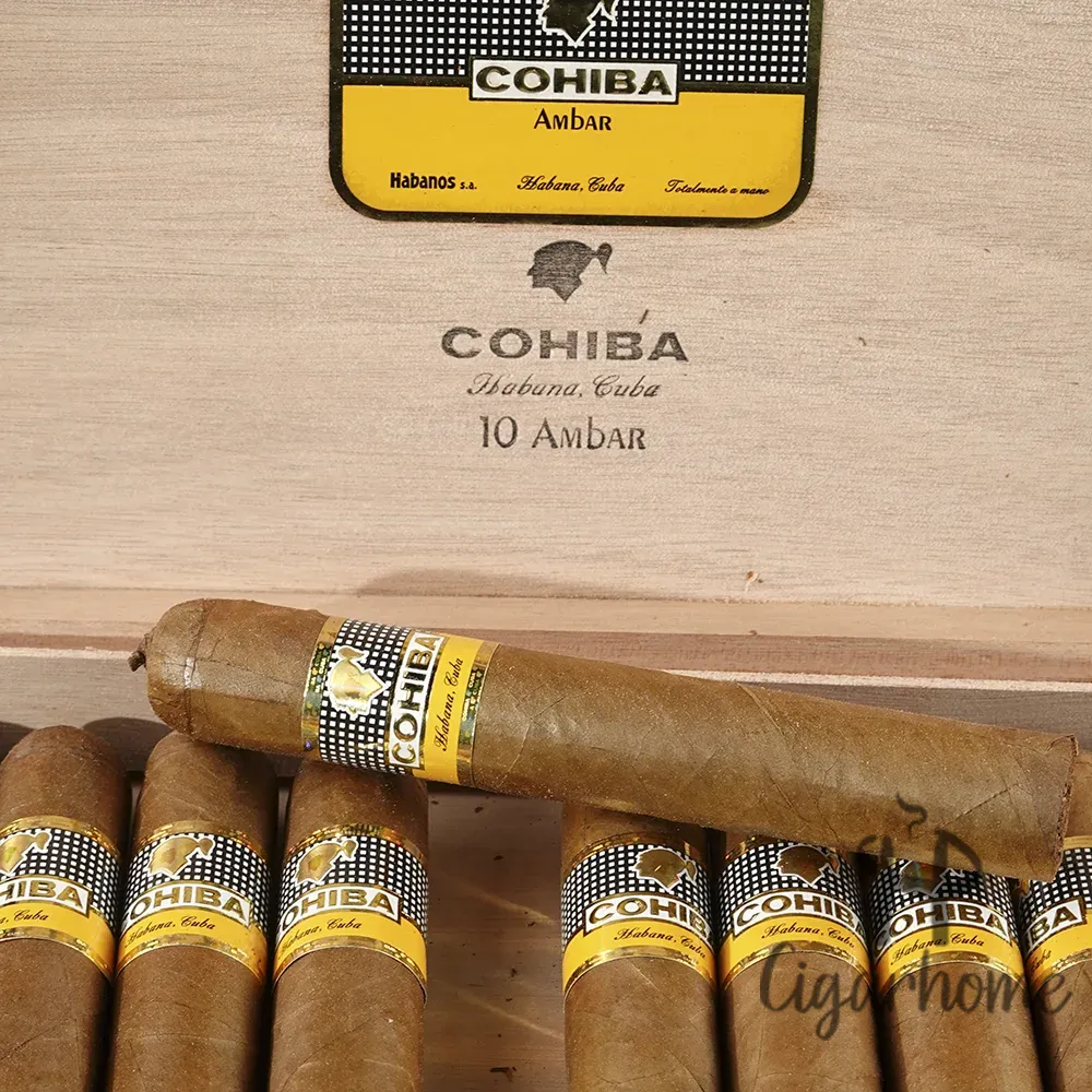 Cohiba Ambar 安巴爾_5