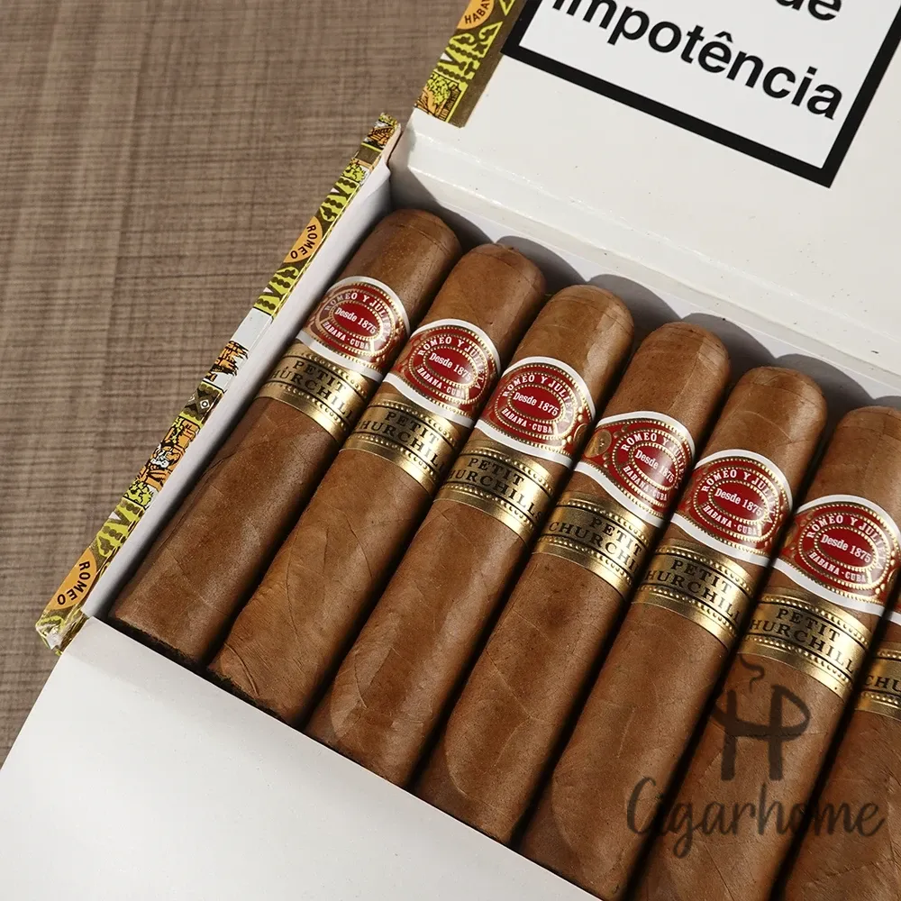 ROMEO Y JULIETA  PETIT CHURCHILLS 小丘吉爾_4
