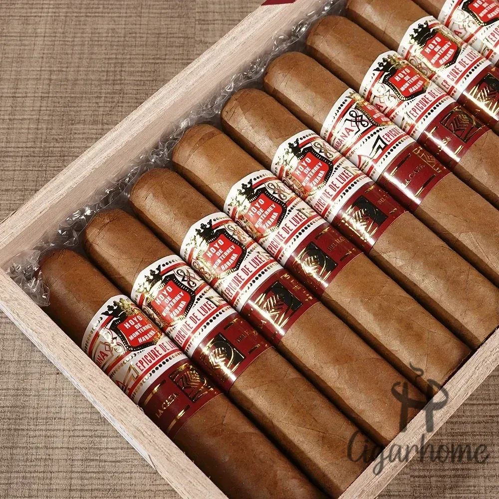 HOYO DE MONTERREY EPICURE DE LUXE LCDH 美食家_3