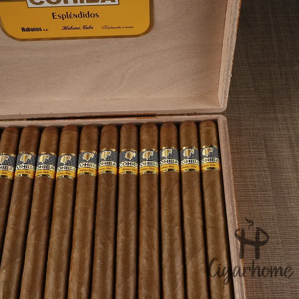 COHIBA ESPLENDIDOS 導師_5