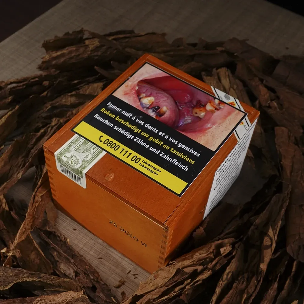COHIBA SIGLO VI 世紀六號_2