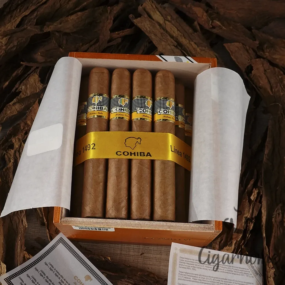 COHIBA SIGLO VI 世紀六號_3