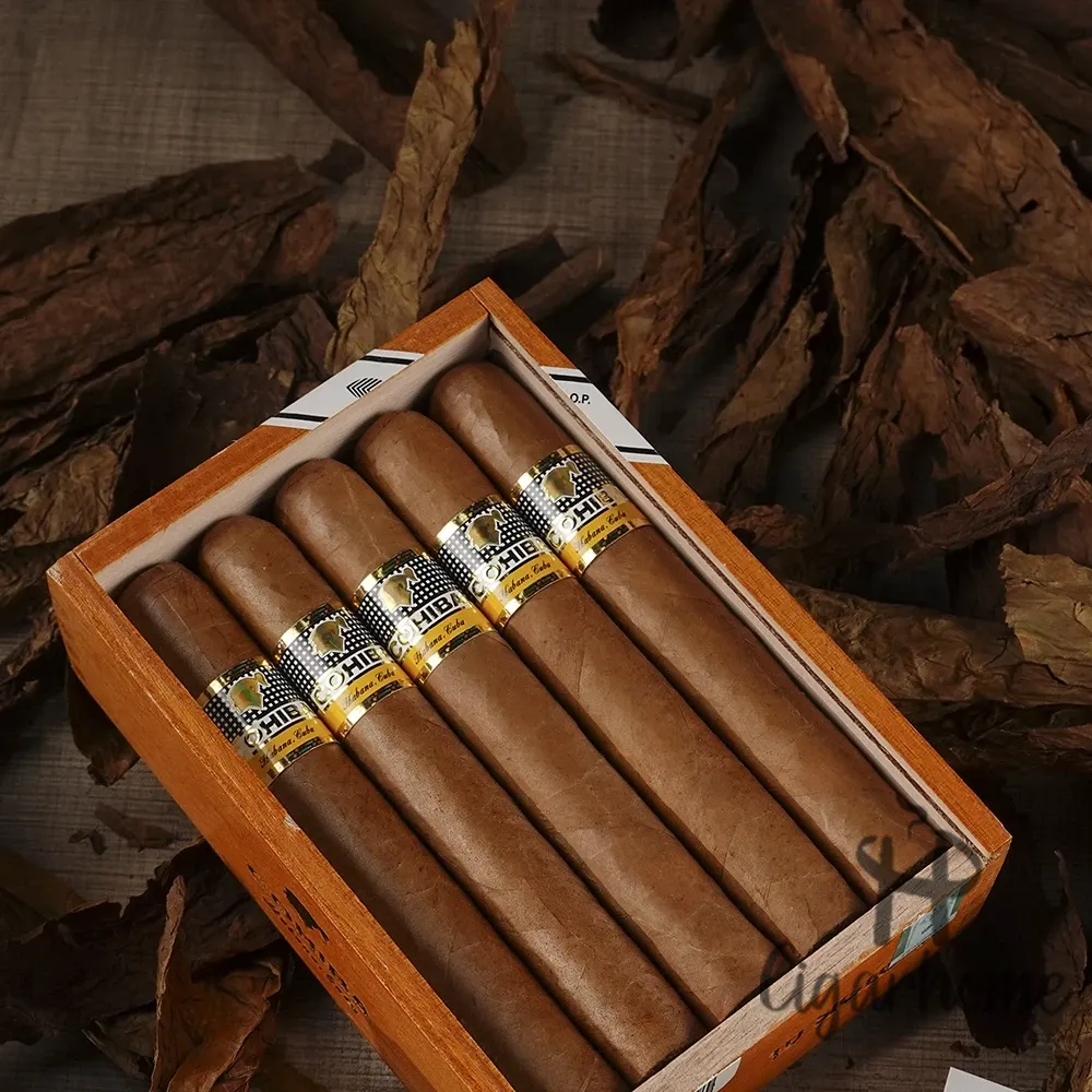 COHIBA SIGLO VI 世紀六號 十隻裝_4