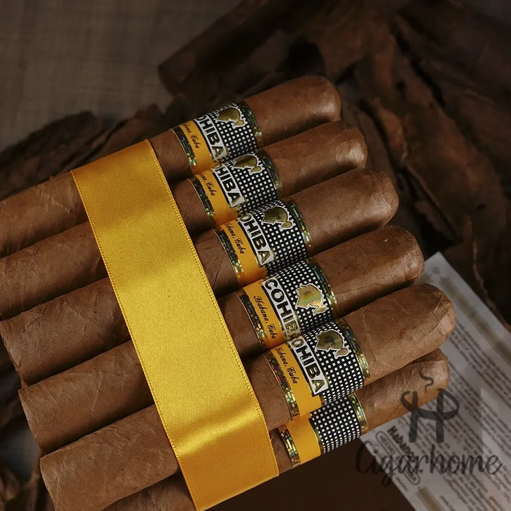 COHIBA  ROBUSTOS 羅伯圖_3