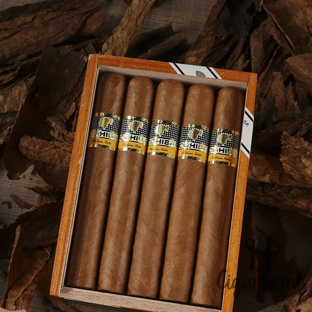 COHIBA SIGLO VI 世紀六號 十隻裝_2