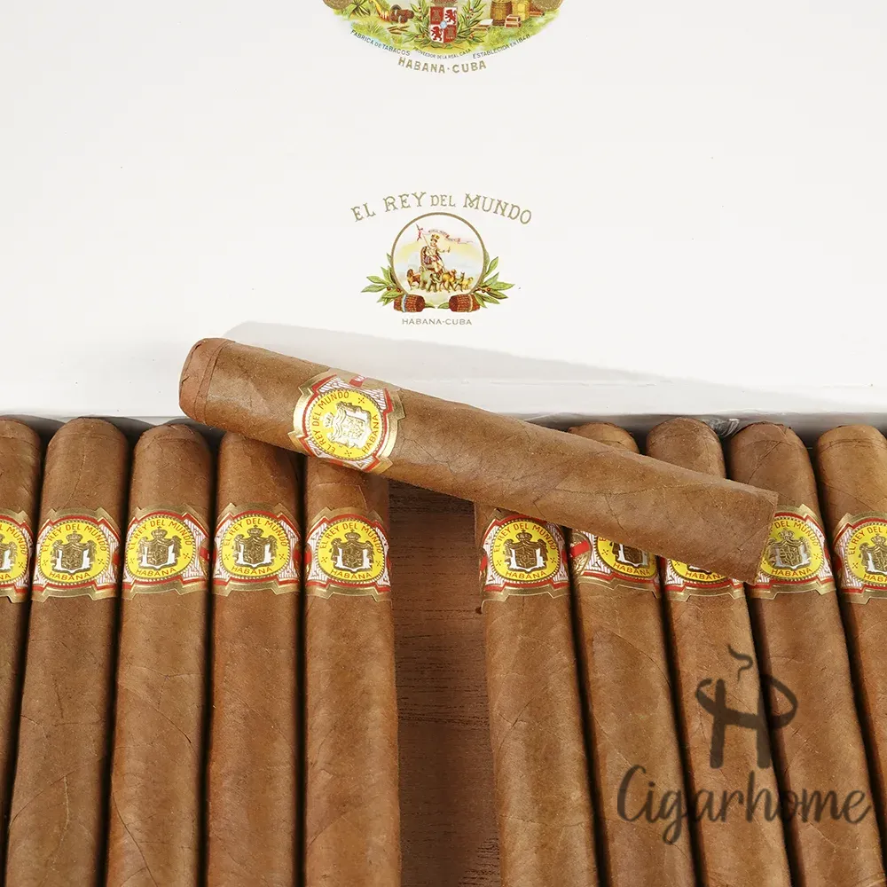 EL REY DEL MUNDO CHOIX SUPREME 黃蘿蔔_3