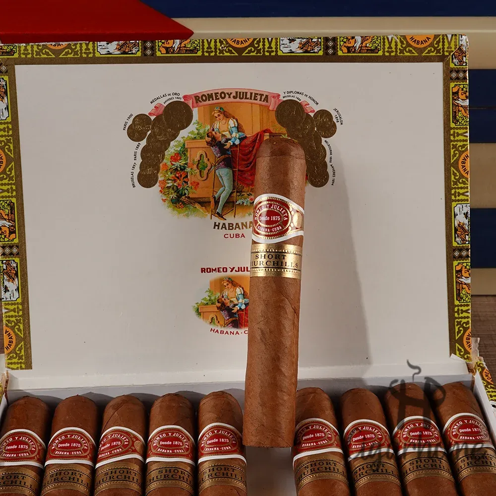 ROMEO Y JULIETA  SHORT CHURCHILLS 短丘吉爾_3