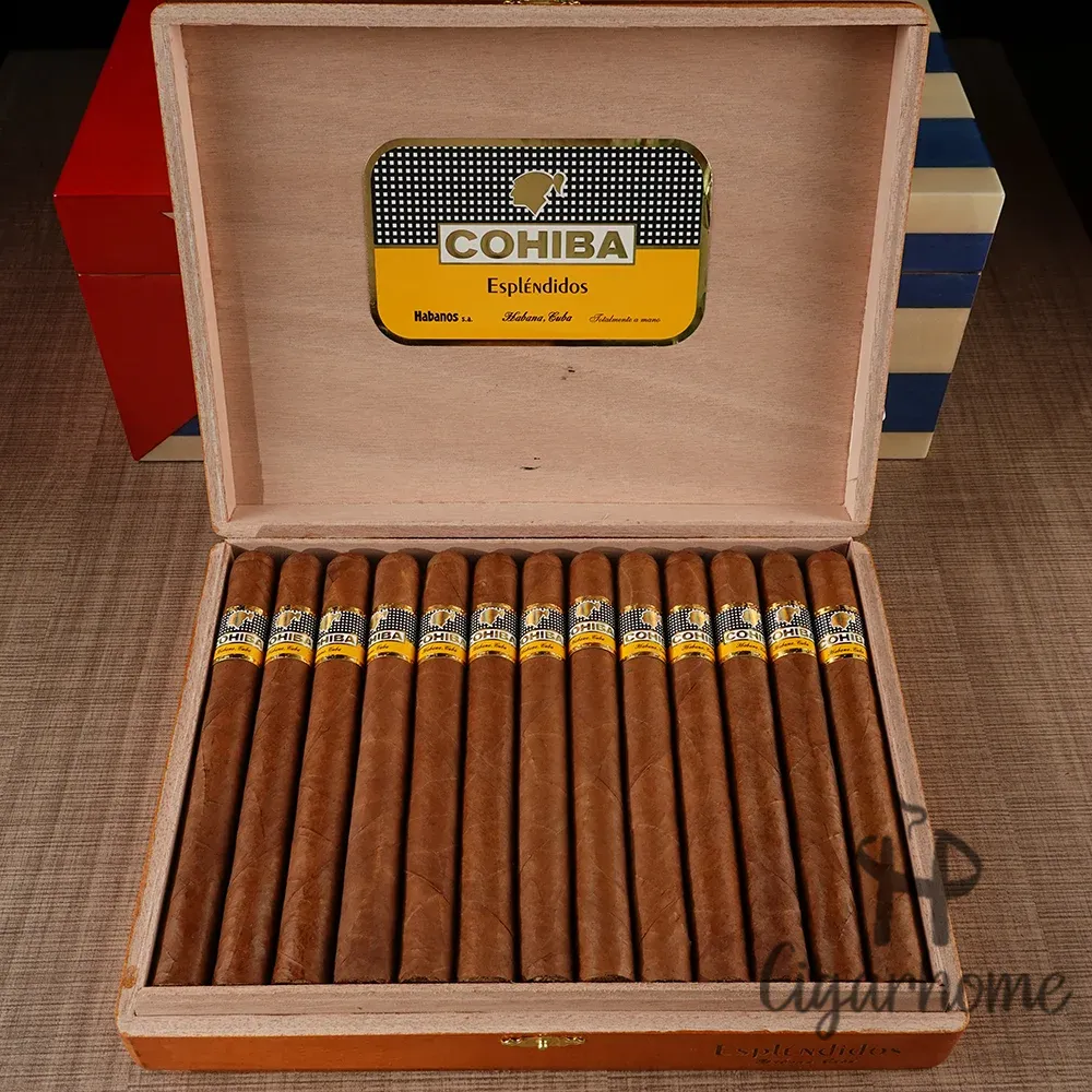 COHIBA ESPLENDIDOS 導師_3