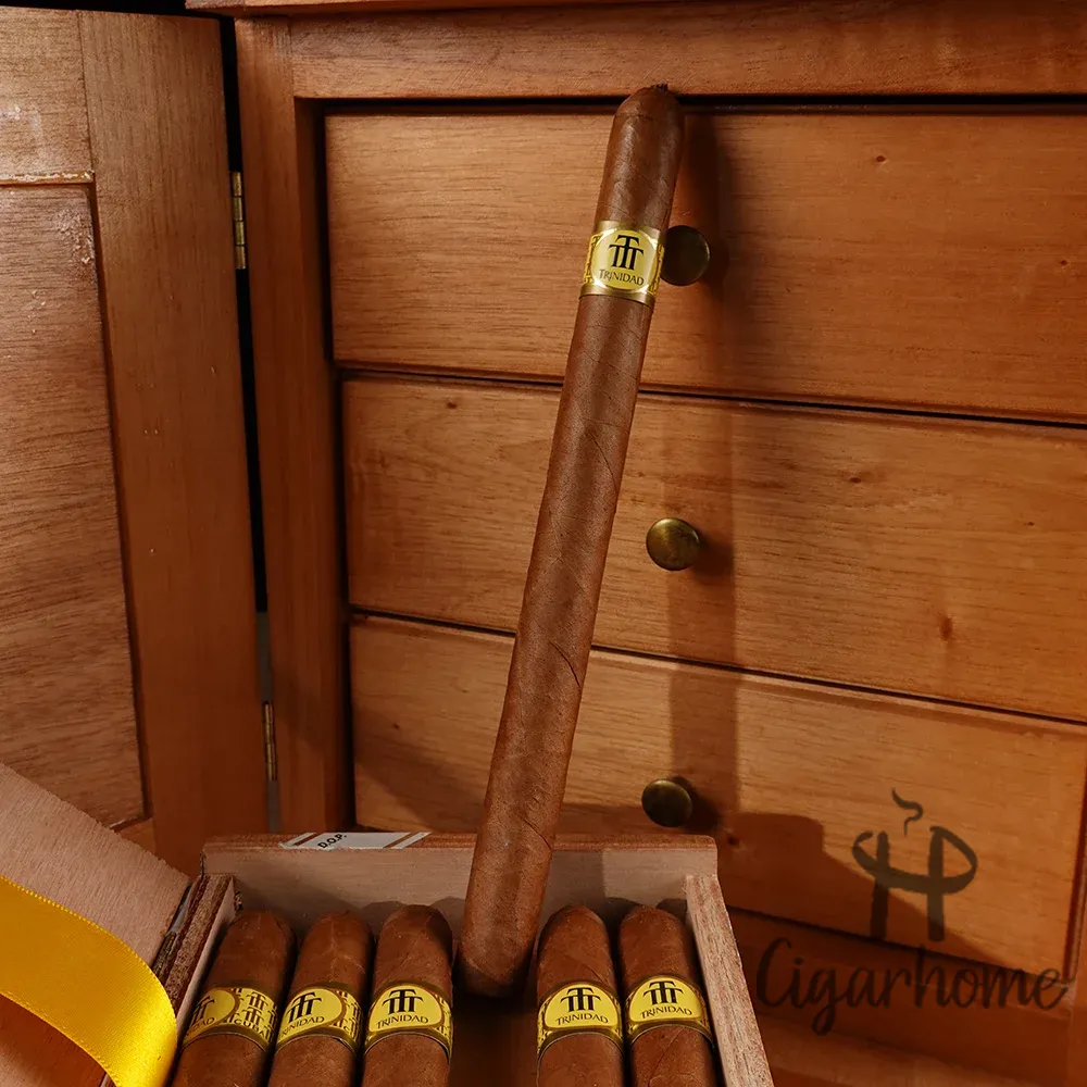 TRINIDAD FUNDADORES   創建_3