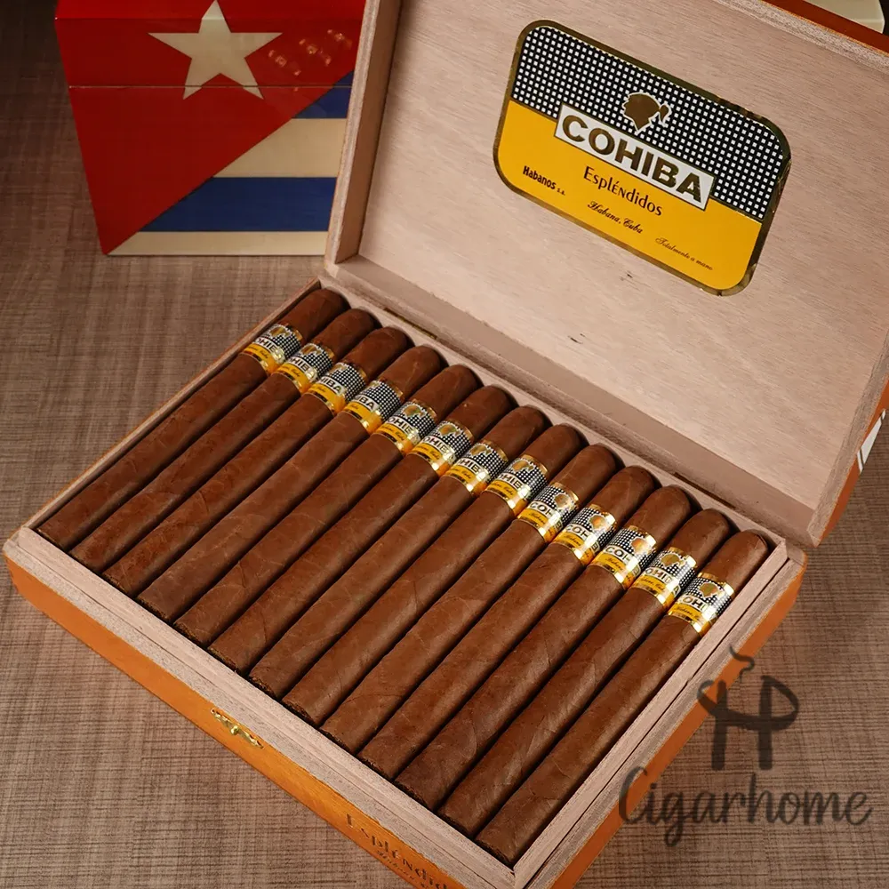 COHIBA ESPLENDIDOS 導師_4