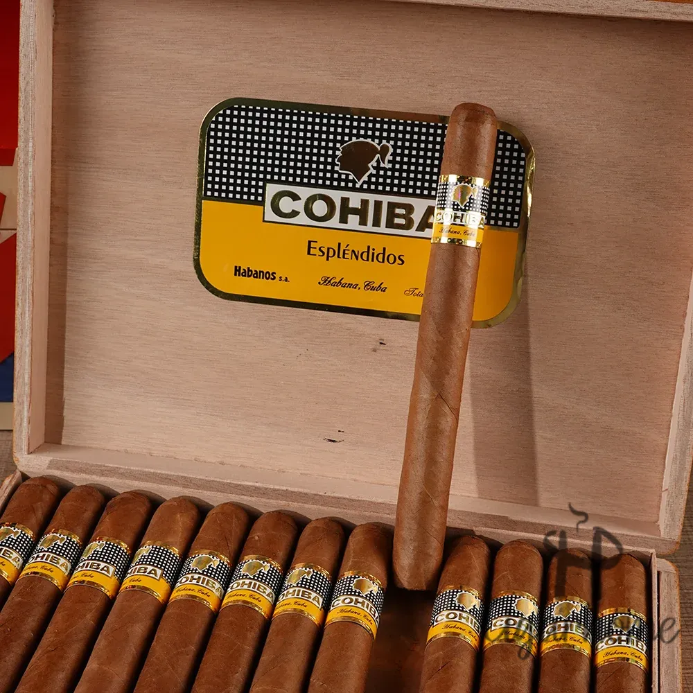 COHIBA ESPLENDIDOS 導師_5
