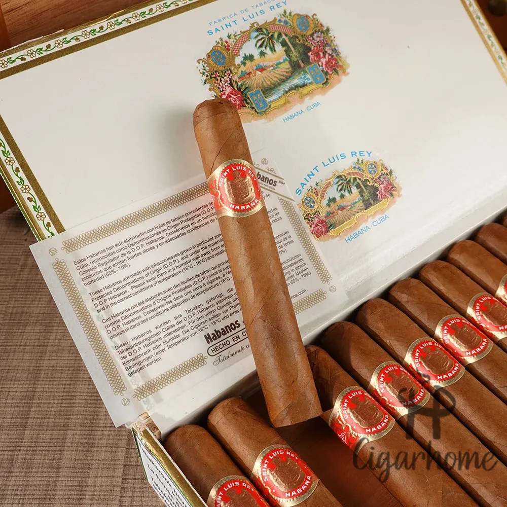 聖路易斯．雷伊  皇家 Regios_3