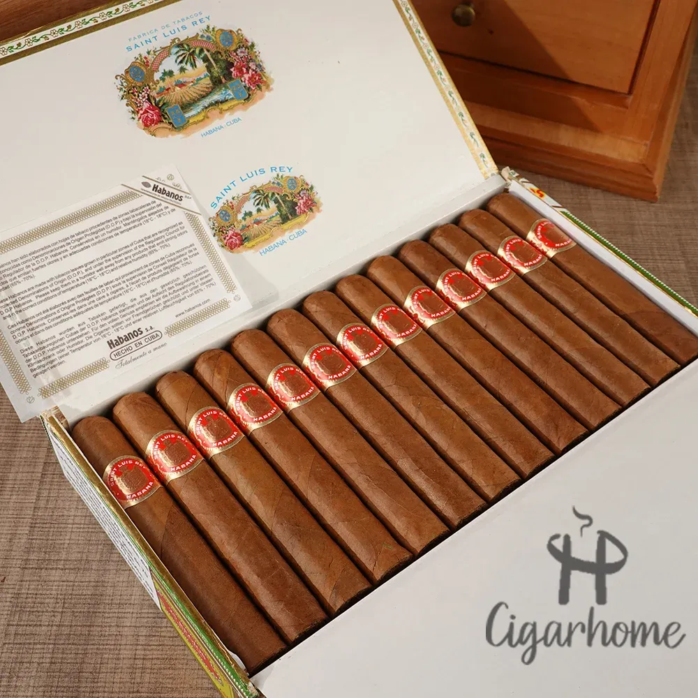 聖路易斯．雷伊  皇家 Regios_2