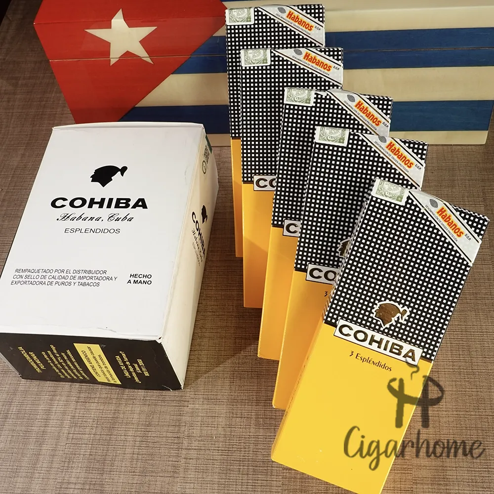 COHIBA ESPLENDIDOS C/P 導師紙盒