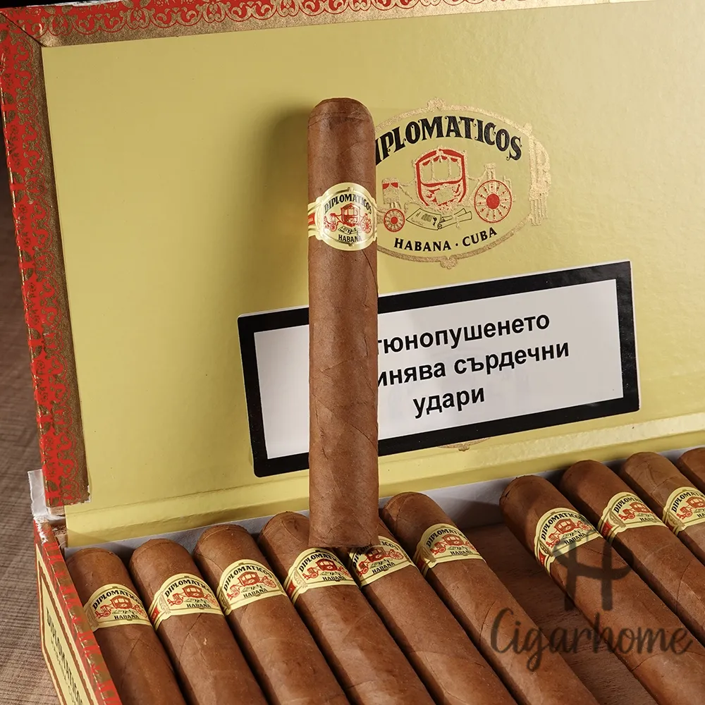 Diplomáticos 外交部長 Cancilleres_4