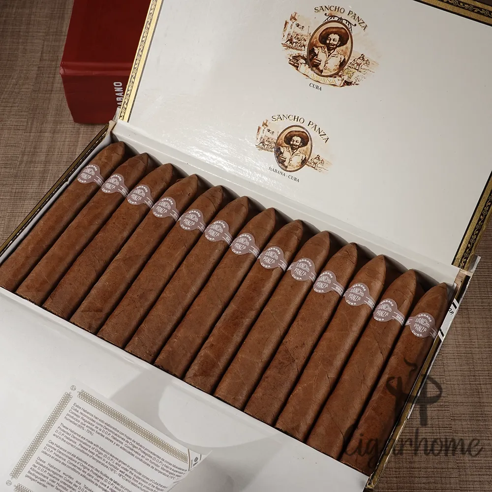 Sancho Panza Belicosos 魚雷_2