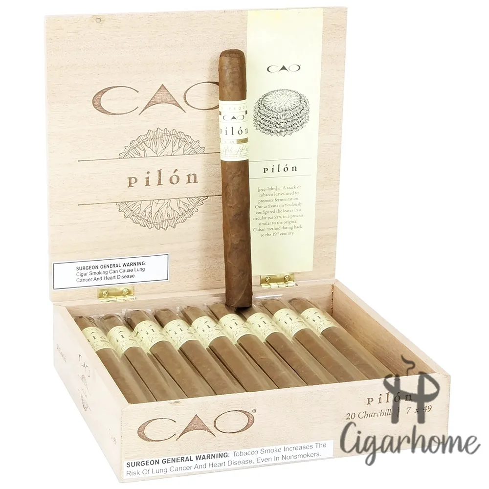 CAO Pilon Churchill 20s