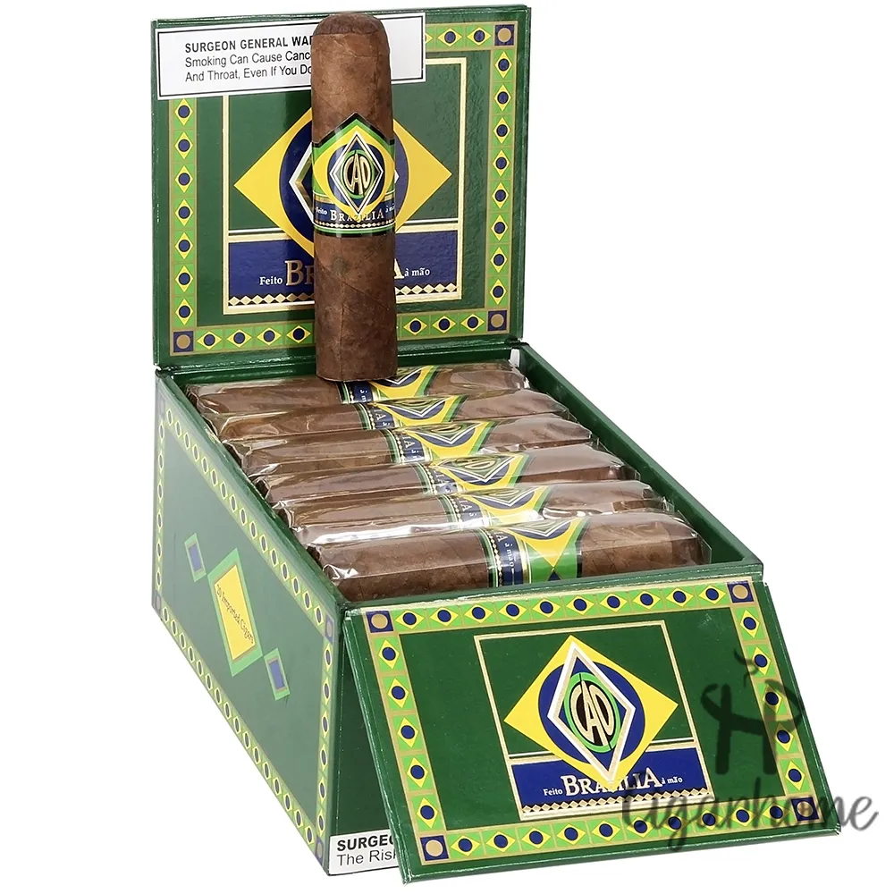 CAO Brazilia Corcovado 20s