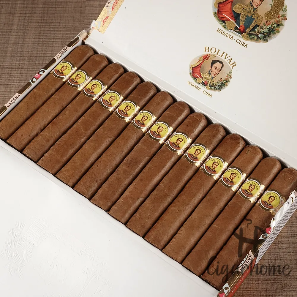 Bolivar Coronas Junior 少年皇冠