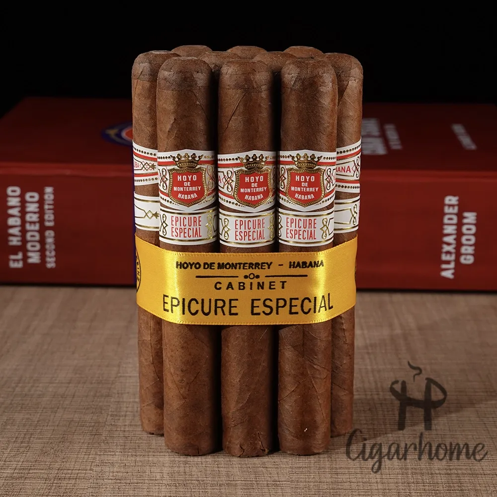 HOYO DE MONTERREY EPICURE ESPECIAL 逍遙特級 10隻裝_2