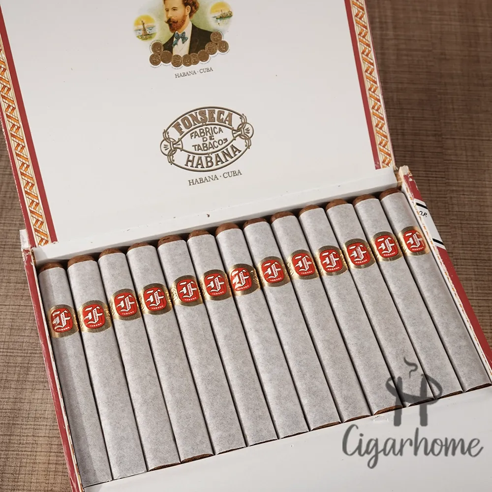 豐塞卡科薩斯 KDT Cadetes  學徒_2