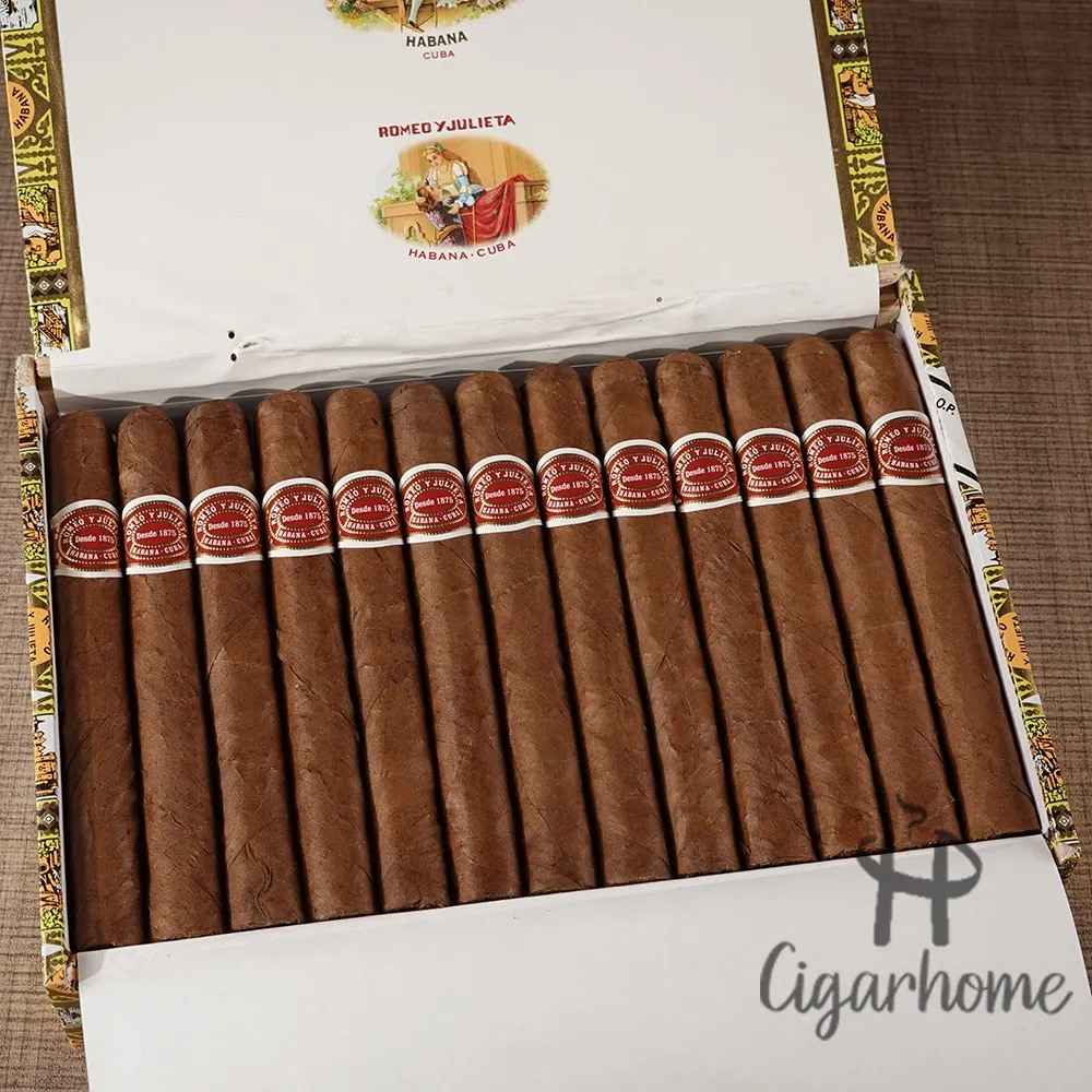 ROMEO Y JULIETA  SPORTS LARGOS 運動員