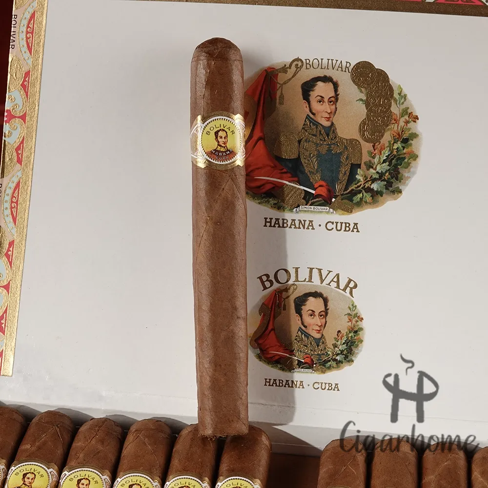 BOLIVAR  PETIT CORONAS 小高朗拿_3