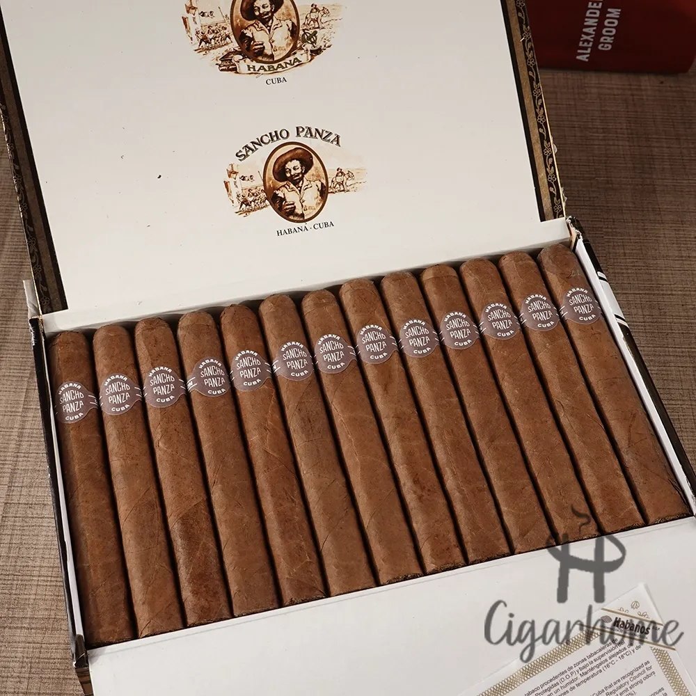 SANCHO PANZA NON PLUS 朗匹士_2