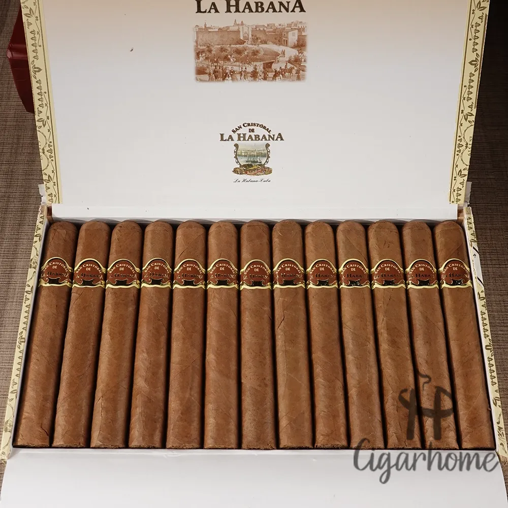 聖克裏斯多 LA FUERZA 力量