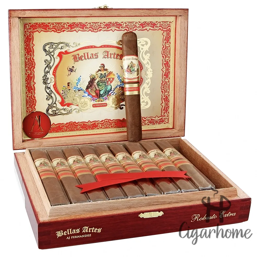 AJ FERNANDEZ BELLAS ARTES ROBUSTO EXTRA 20s