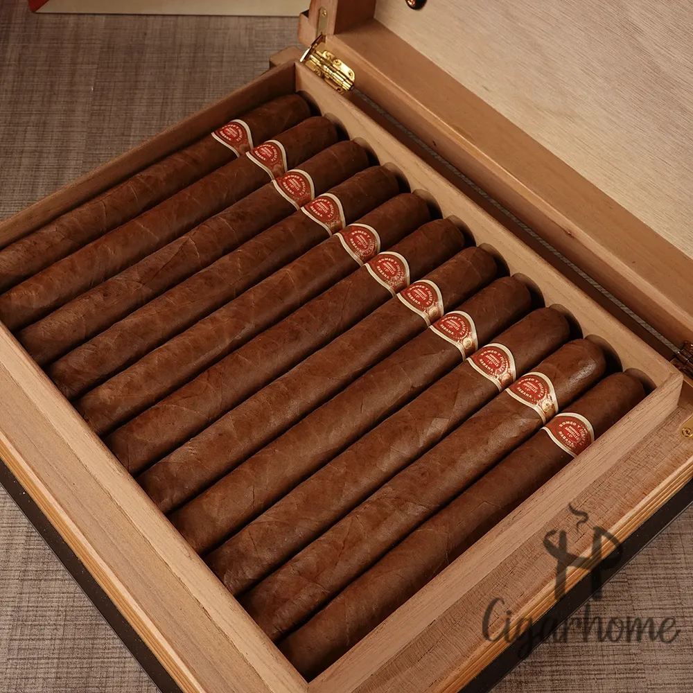 Romeo y Julieta Fabulosos No.6 2004年 書本_4