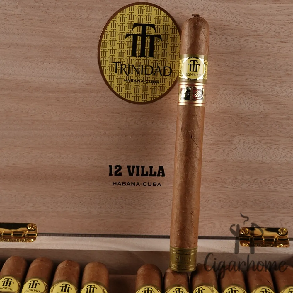 Trinidad Villa 別墅 LCDH_4