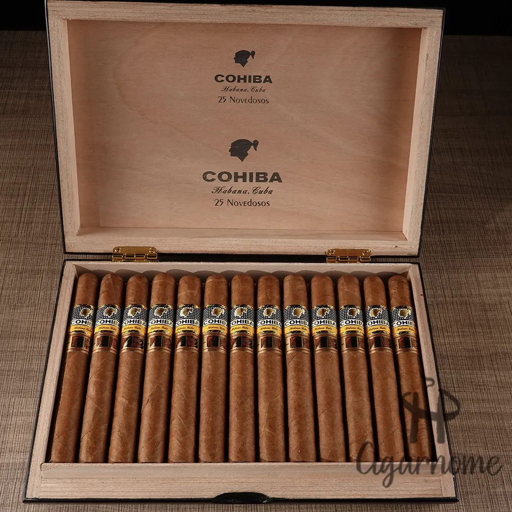 Cohiba Novedosos LCDH 小說家