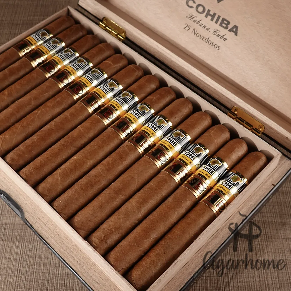 Cohiba Novedosos LCDH 小說家_4