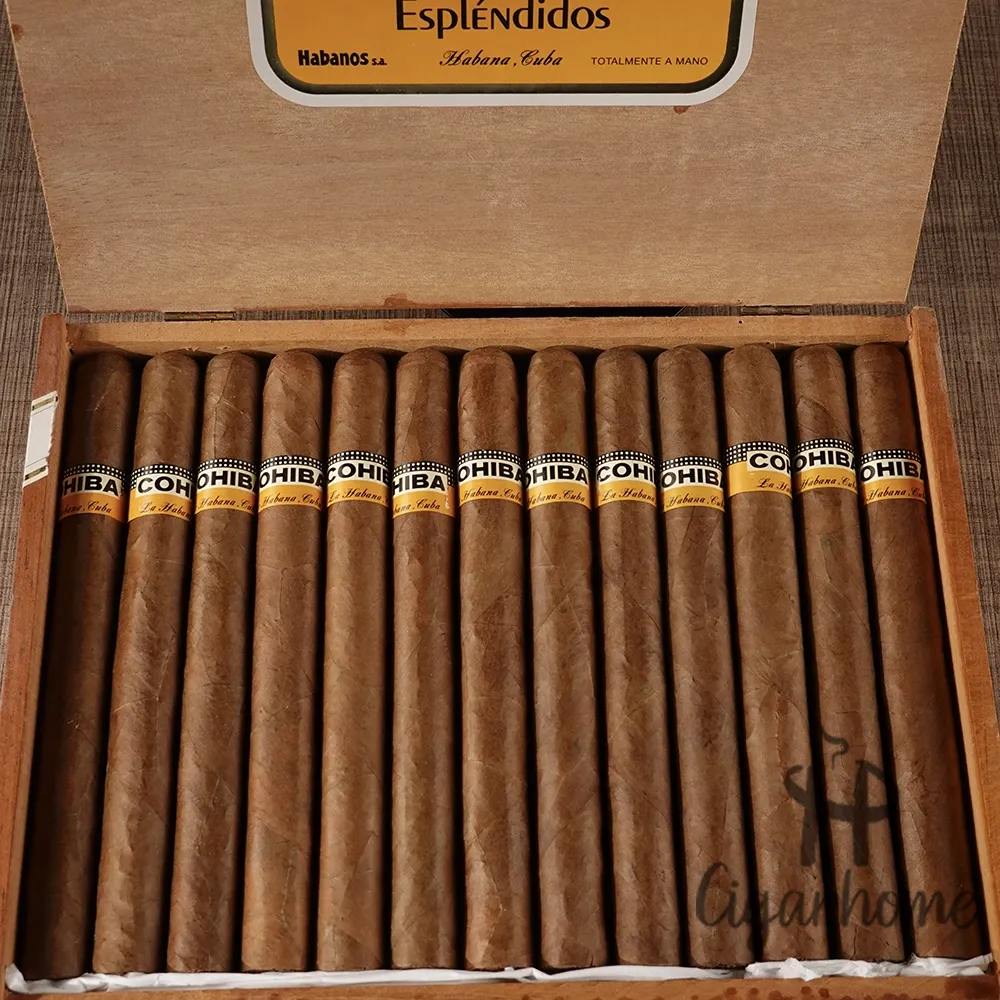 COHIBA ESPLENDIDOS 導師 1995年_3