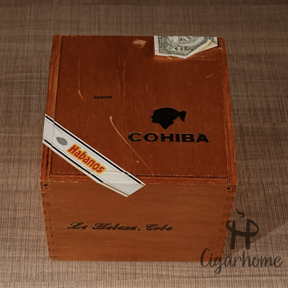 COHIBA ROBUSTOS 羅伯圖 2004年