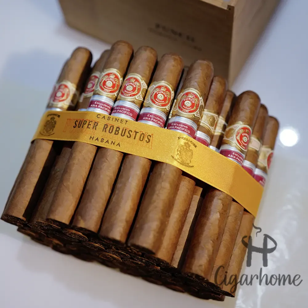 Punch Super Robustos de Edición Regional Asia Pacifico 2006年